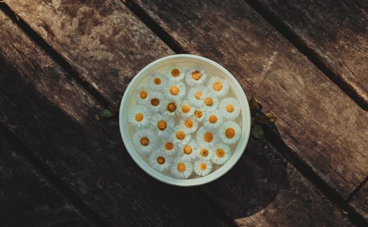 chamomile face mask